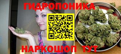 дурь Нальчик