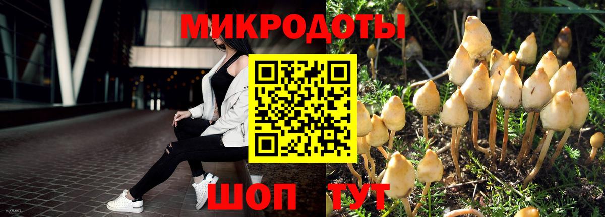 Псилоцибиновые грибы Magic Shrooms Чайковский