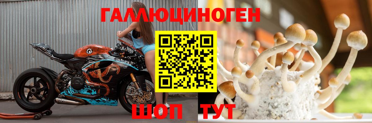 Чайковский  Галлюциногенные грибы мицелий  Вход с VPN 